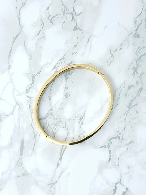 Damska Bransoleta Stalowa Z Cyrkoniami Złota 6mm Valerii