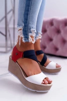 Biały || Niebieski || Czerwony