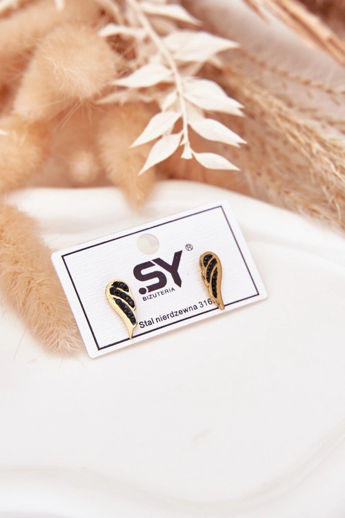 Kolczyki Skrzydła Ze Stali Nierdzewnej