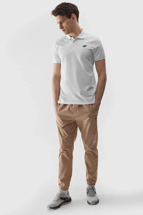 Męska Koszulka Polo Regular Z Logo 4F 4FWMM00TPTSM316-10S Biała