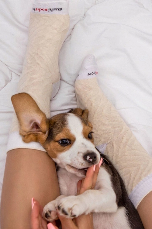 Skarpetki Rainbow Socks Sushi 1 Para Ryba Maślana