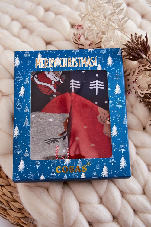 Zestaw Męskich Świątecznych Skarpetek Cosas Mix 2